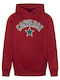 Fleece Kinder-Sweatshirt mit Kapuze und Taschen Burgundisch