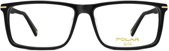 Polar Plastic Eyeglass Frame Gold Gold10-C77