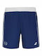 Babolat Men's Athletic Shorts Blue