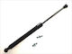 Fa Krosno Trunk Shock Absorber Universal Max Length 440mm Stroke:175mm Throw Power 175.0 N Piston Rod Diameter 8.0 Mm Cylinder Diameter 18.5 Mm