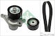 Ina Ribbed Belt Drive Set