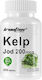 Ironflex Nutrition Kelp Jod 200mg 250 ταμπλέτες