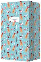 First Steps Christmas Box for Gift Light Blue 3...