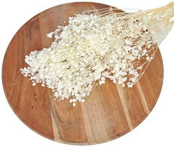 Gypsophila 100g Alb Înălbit