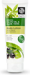 Aura Greca Moisturizing Lotion Body 250ml