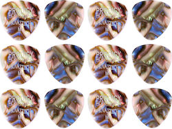 Prodigy Classic Abalone Shell Medium 12-pack