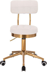 Salon Stools Wheeled Stool White