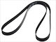 Bosch Grooved Drive Belt