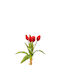 Roter Tulpenstrauß 35cm Msa 20-99-703 Rote Msa Dekoration 20-99-703
