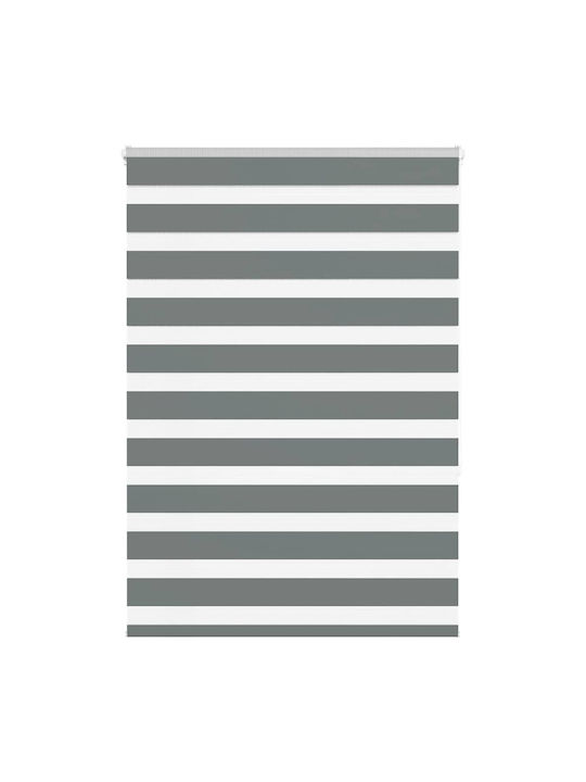 vidaXL Roller Blinds Partial Blackout Gray W110...