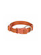 Trixie Premium Dog Collar in Orange color Medium / Large 20mm