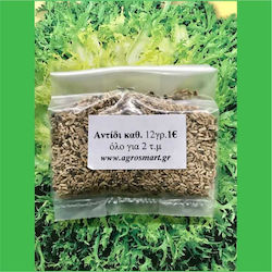 Agrosmart Seeds Endive (Cichorium) 100gr