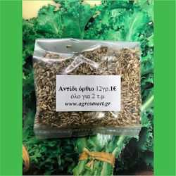 Agrosmart Seeds Endive (Cichorium) 100gr