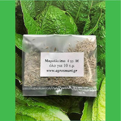 Agrosmart Seeds Lettuce 100gr AGR-MAR012