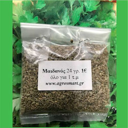 Agrosmart Seeds Parsley 1.0kg AGR-MAID004