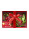 Wilton Set Christmas Cake Molds Plastic Red L8.8xW8.8cm. 10pcs