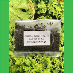 Agrosmart Seeds Lettuce 500gr AGR-MAR022