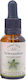 Crystal Herbs Σκλήρανθος (scleranthus) Ανθοΐαμα 25ml 1τμχ
