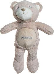 Plush Animal Teddy Bear