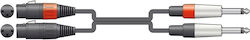 Citronic 2 x XLR female - 2 x 6.3mm male 3m 26J-2XF300