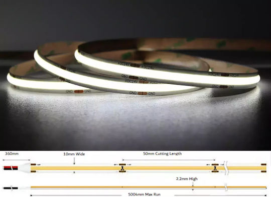 LED Strip 24V Cold White Light 5m COB Type