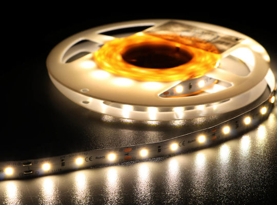 LED Strip 12V Natural White Light 5m Type SMD2835