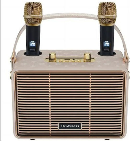 Karaoke Speaker With Wireless Microphones Speaker HJ-4202+ Pink