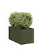 vidaXL Planter Box 40x40cm Green 860734