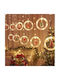LED Lights 2.5m White String