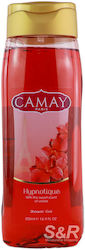 Camay Shower Gel 500ml Camay Shower Gel 500ml