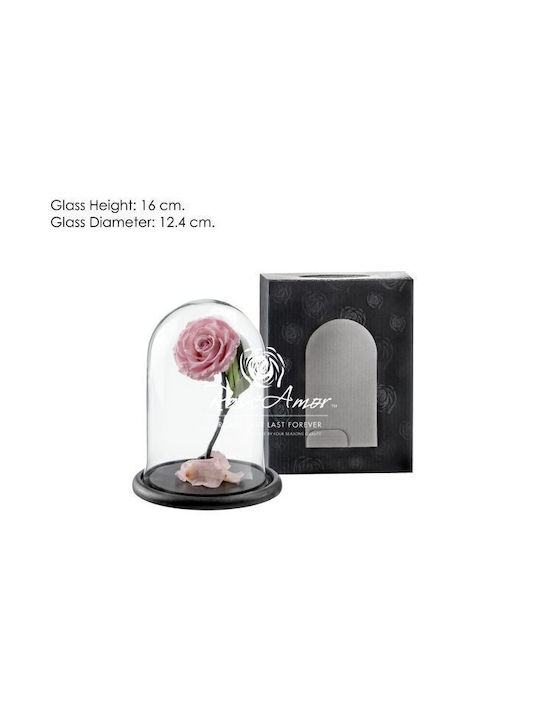 Αποχυμωμένα Τριαντάφυλλα Dome Sofia Pink 04 Bulk