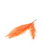 Dried Plant Pampas Grass Burnt Orange 5pcs Fankon Flowers