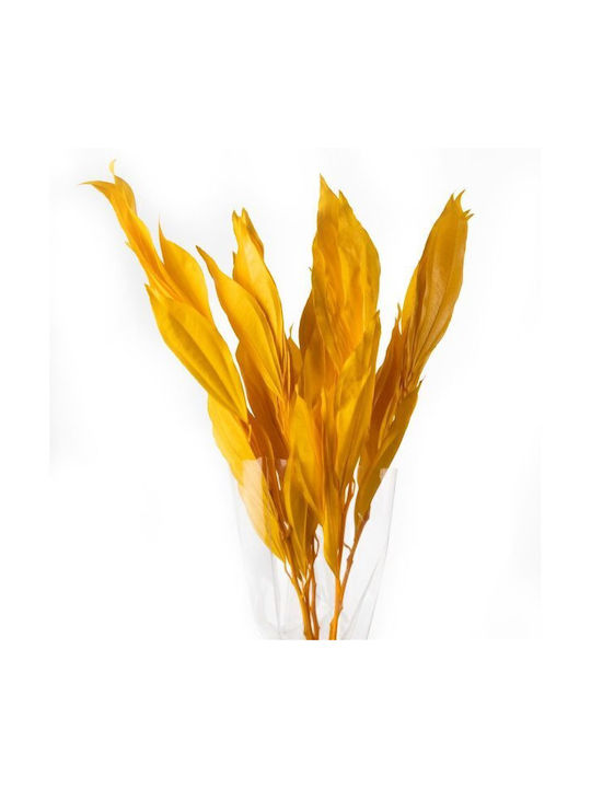 Decorative Artificial Plant Cocculus Yellow 5pc...