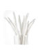 Artificial Decorative Branch Monkey Tail Preserved Bleached 10pcs Fankon Flowers