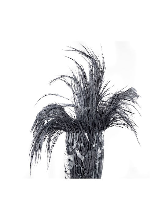 Dried Plant Pampas Grass Preserved Cool Gray 5p...
