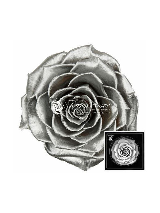 Παντοτινό Τριαντάφυλλο Metallic Silver Fankon Flowers