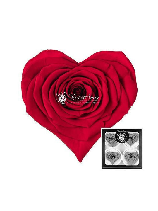 Eternal Rose Red 4pcs Fankon Flowers