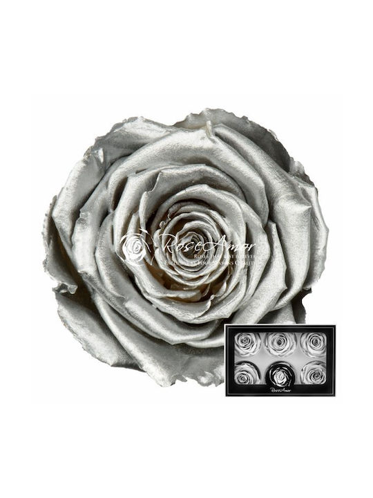 Παντοτινό Τριαντάφυλλο Metallic Silver White 6τμχ Fankon Flowers