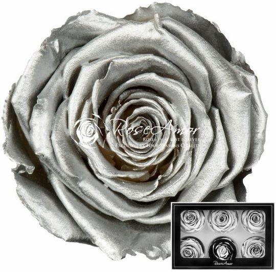 Παντοτινό Τριαντάφυλλο Metallic Silver White 6τμχ Fankon Flowers