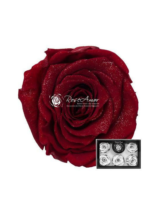 Ewige Rose Rot 6Stück Fankon Flowers