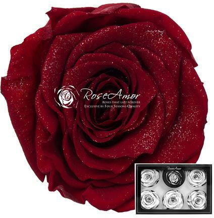 Eternal Rose Red 6pcs Fankon Flowers