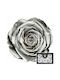 Ewige Rose Metallic Silver 6Stück Fankon Flowers