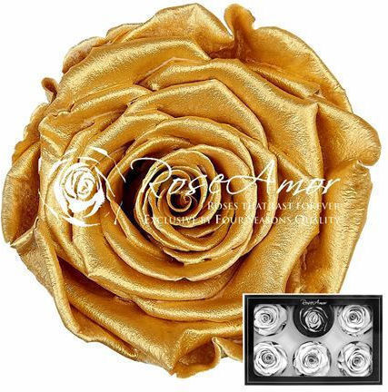 Παντοτινό Τριαντάφυλλο Pearl Toffee 6τμχ Fankon Flowers