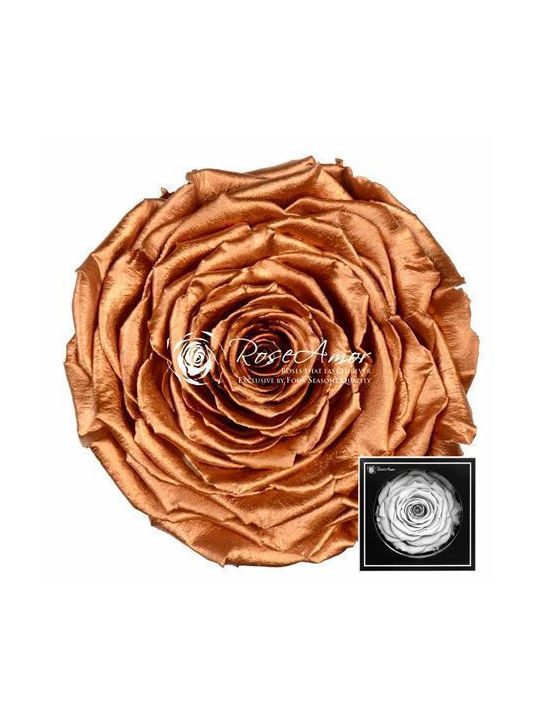 Παντοτινό Τριαντάφυλλο Metallic Fankon Flowers