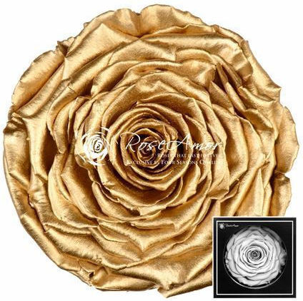 Παντοτινό Τριαντάφυλλο Metallic Gold Fankon Flowers