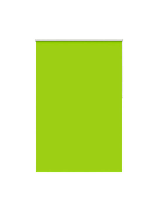vidaXL Roller Blinds Total Blackout Green W155x...