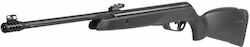 Gamo Bear 5mm