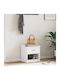 Mobilier de Intrare cu Dulap pentru Pantofi & Bancă Alb 45x40x50cm