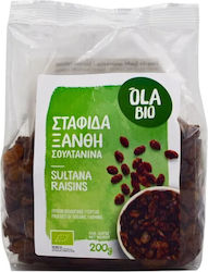 Sultana Raisins Organic 200g