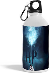 Bottle Harry Potter